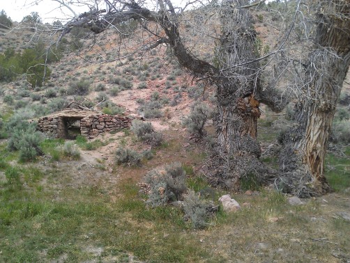 Odd structure along Dry Valley Creek